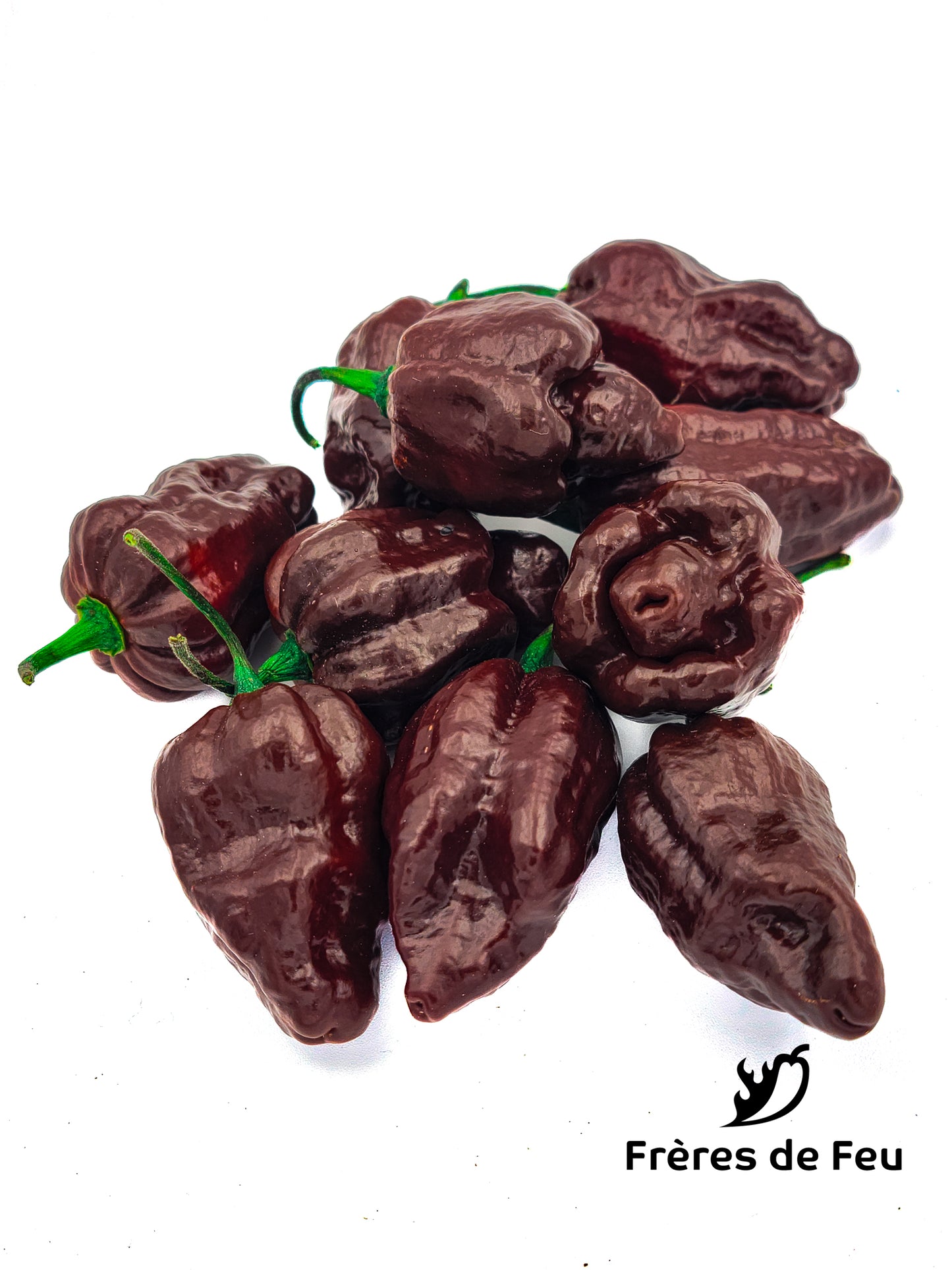 Semences | 7Pot Douglah